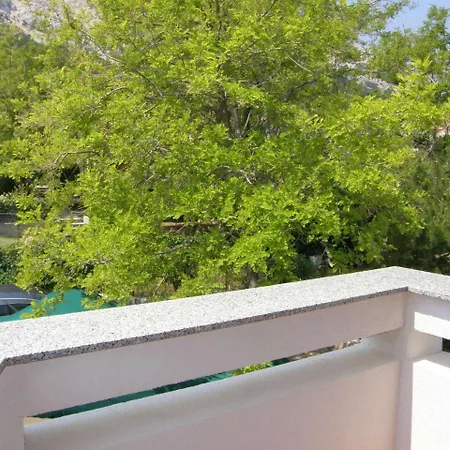 Apartment Pintar Zarok