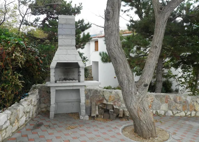 Pintar Zarok باشْكا