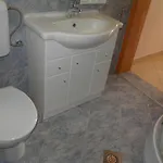 Pintar Zarok *